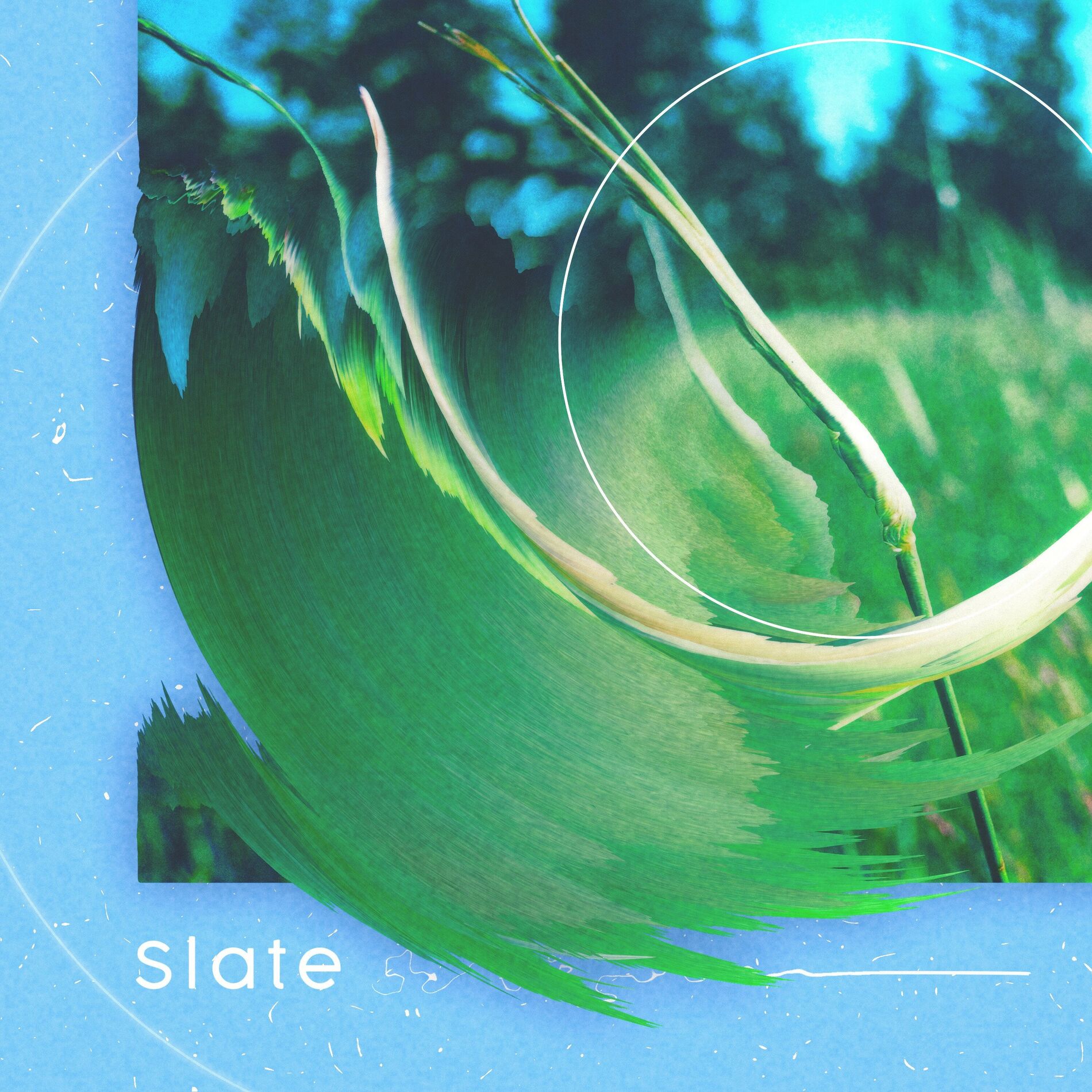 Album cover of Slate
