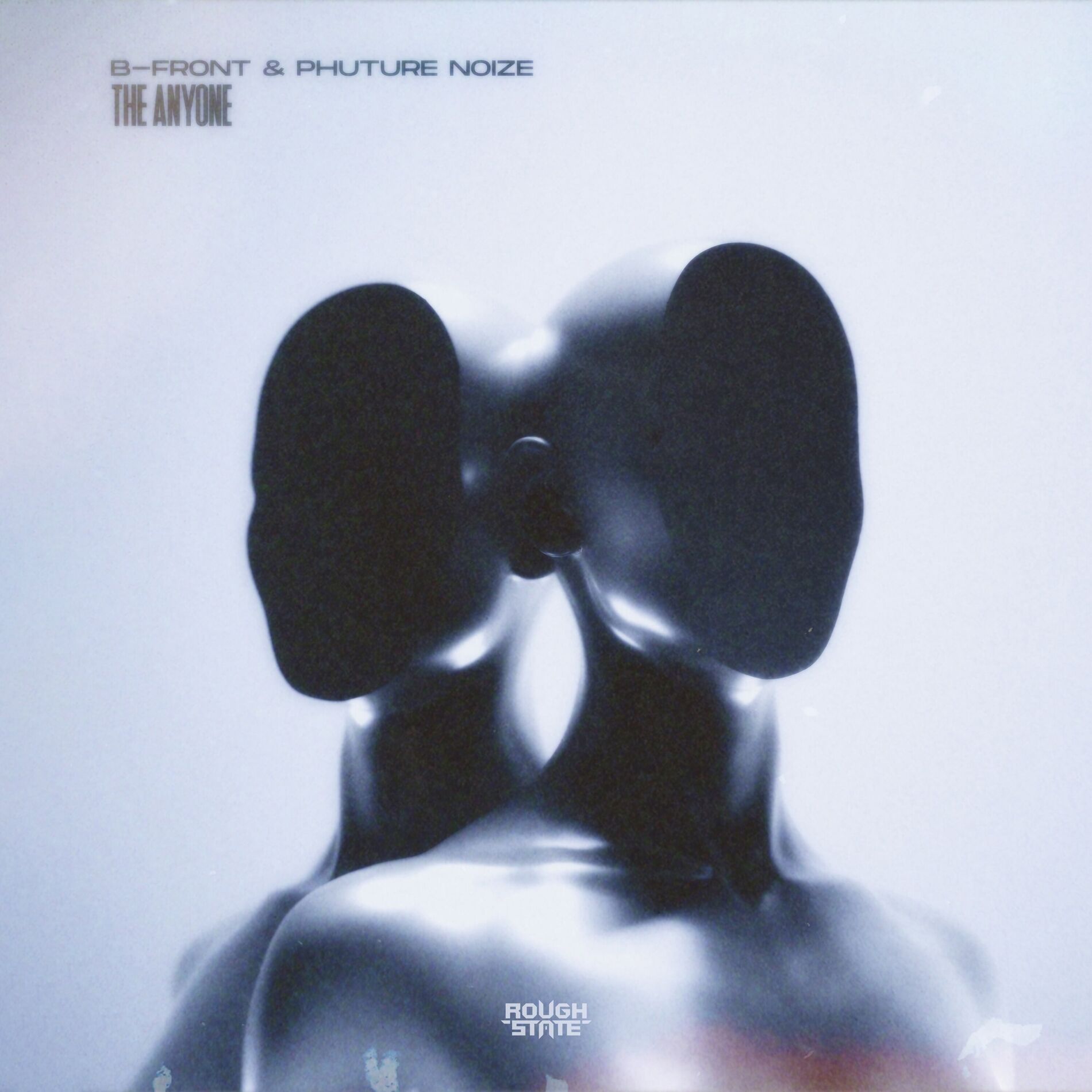 Album cover of The Anyone