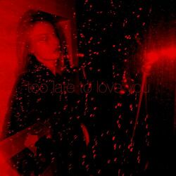 Cover of Too Late To Love You
