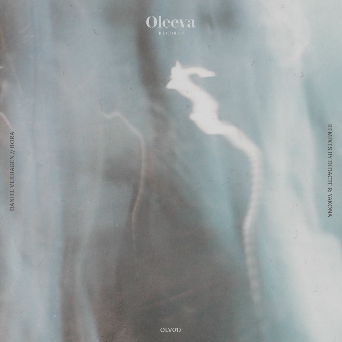 Album cover of Bora