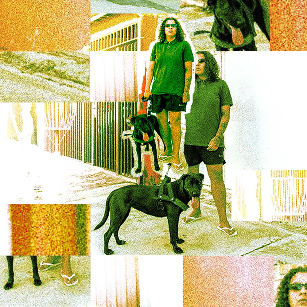 Picture of Não Paro