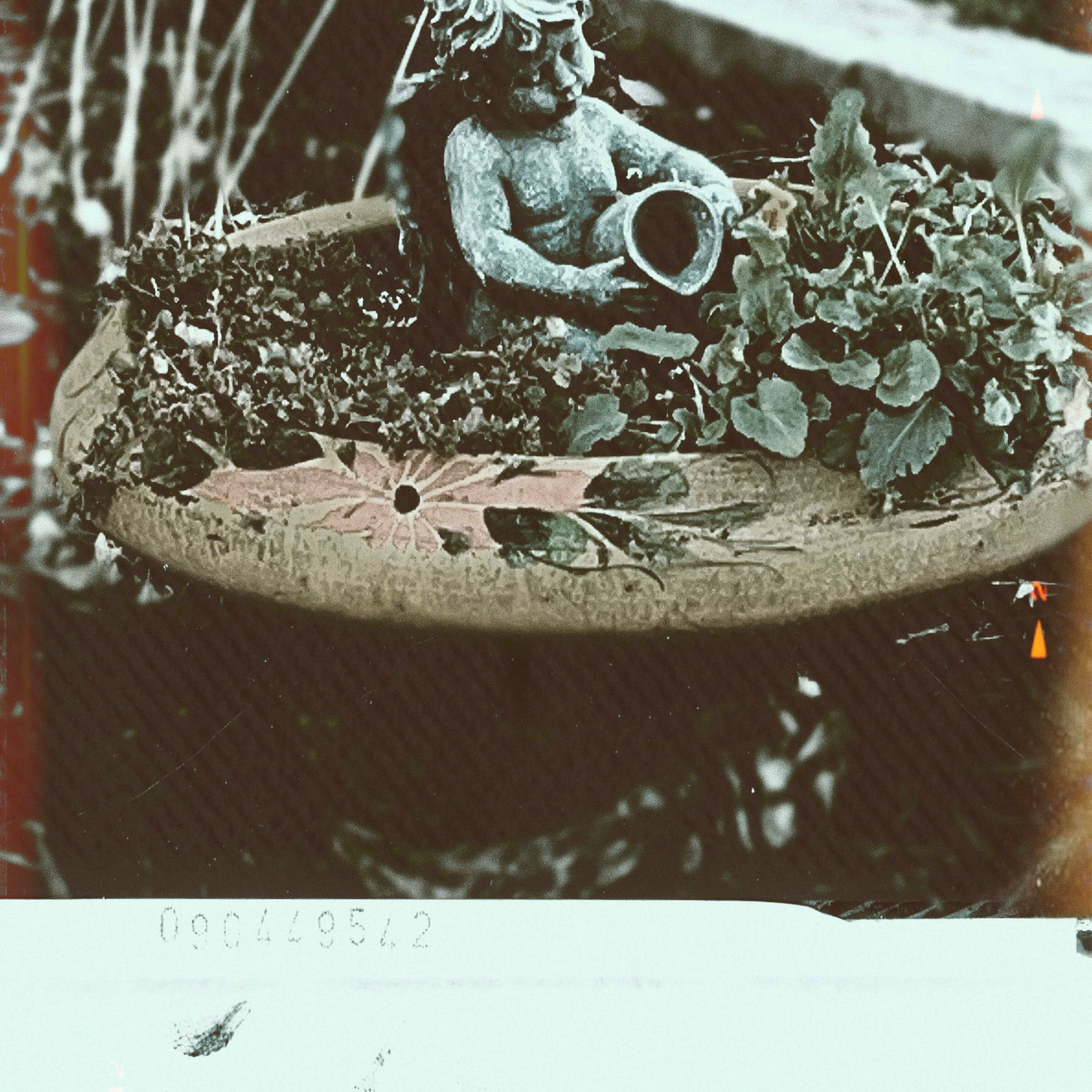 Album cover of Bliss