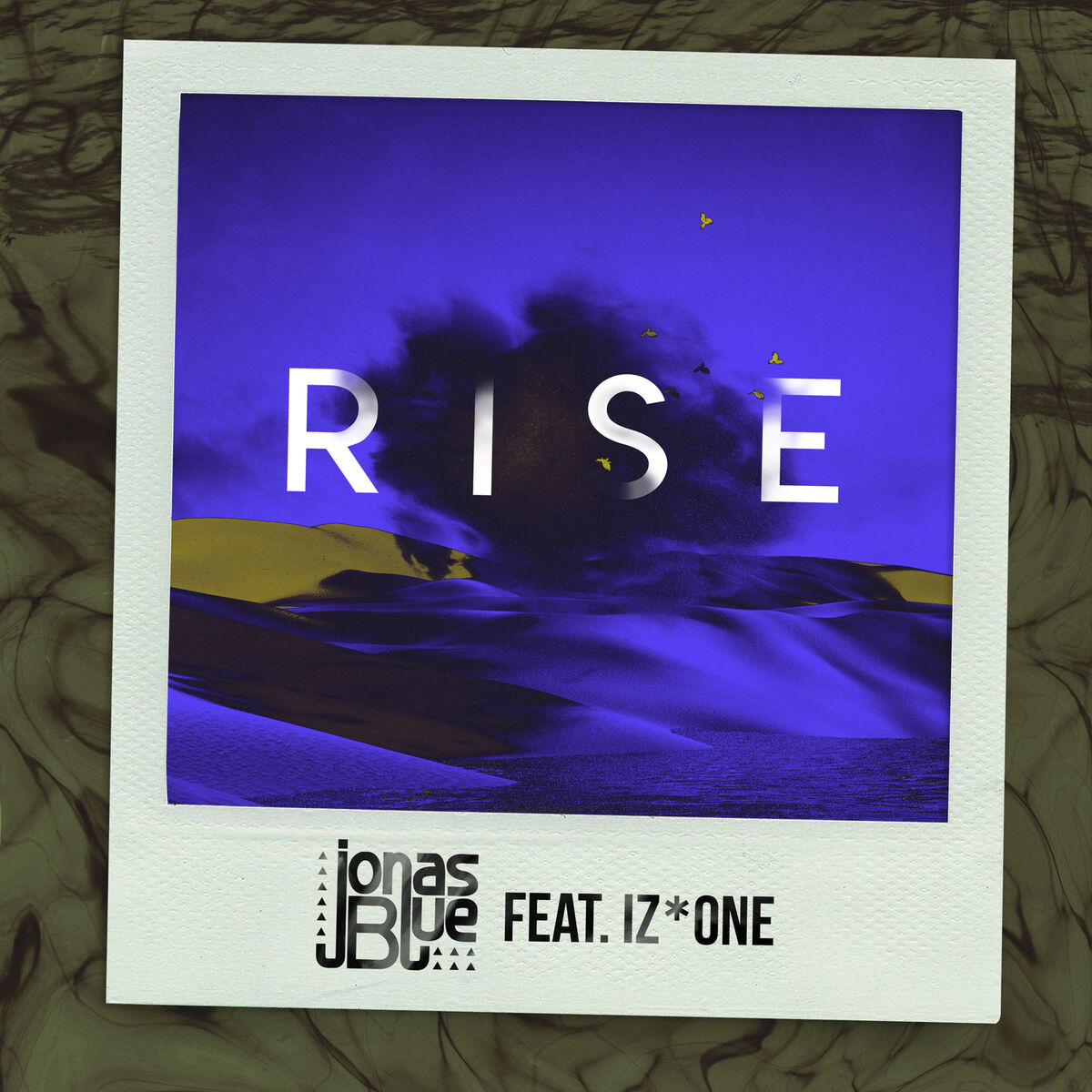 Album cover of Rise
