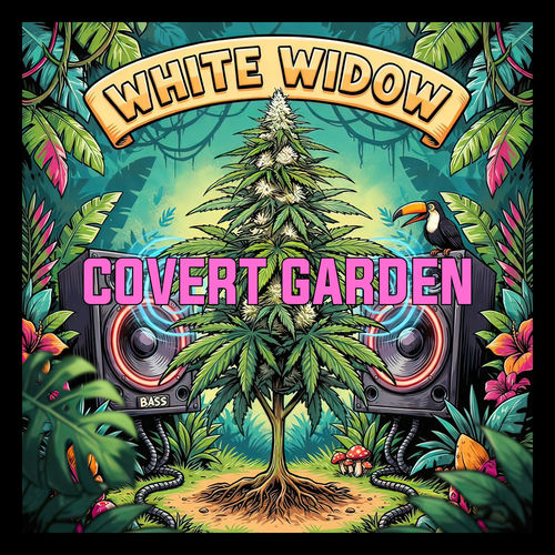 White Widow