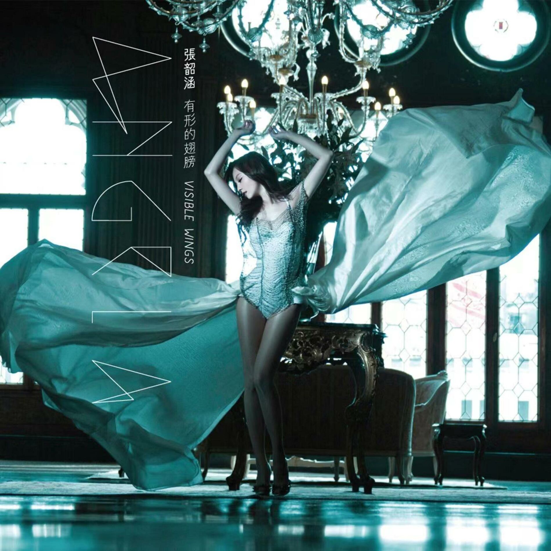 Album cover of 有形的翅膀