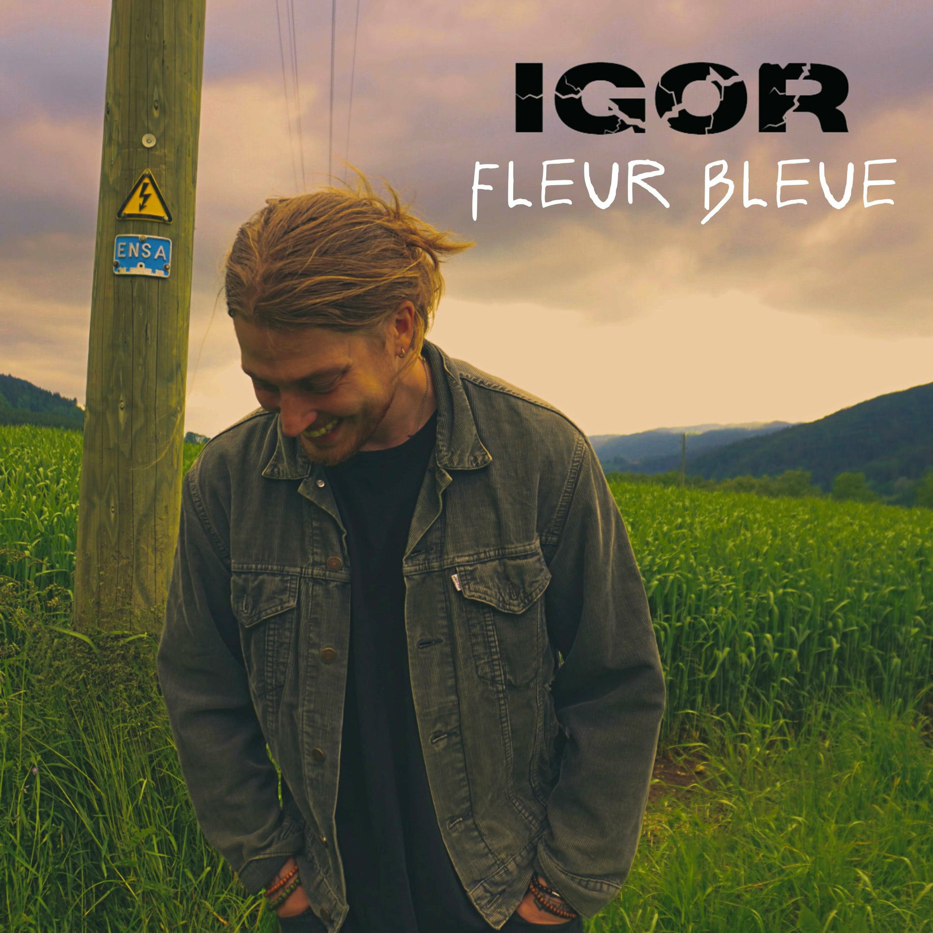 Album cover of Fleur bleue