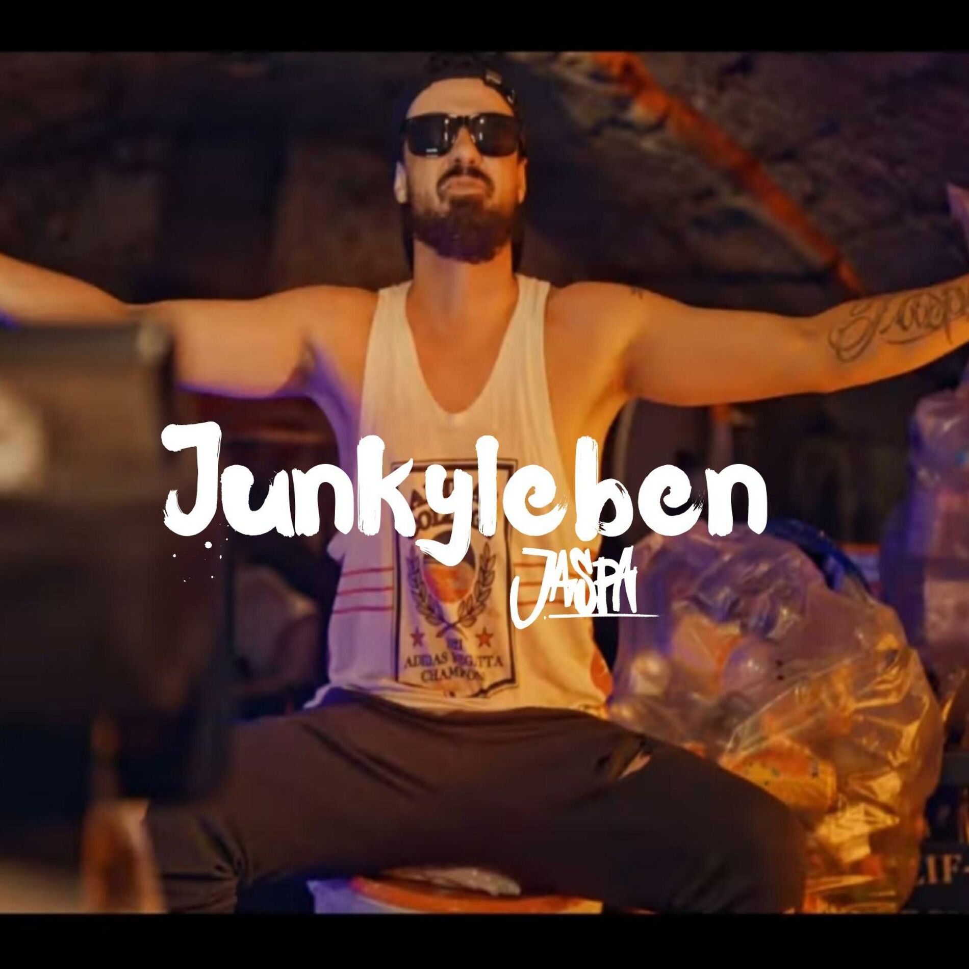 Album cover of Junkyleben