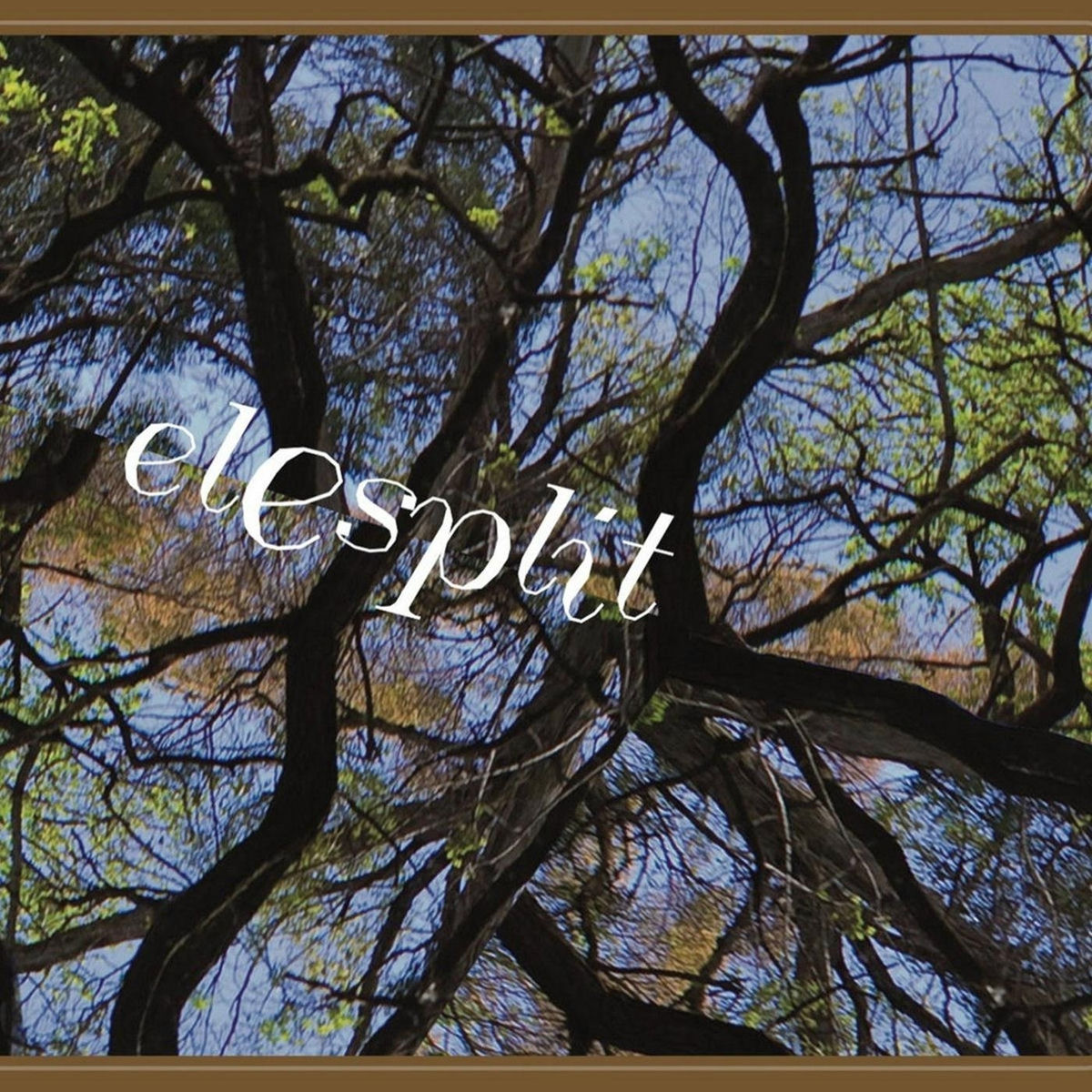 Album cover of Elesplit