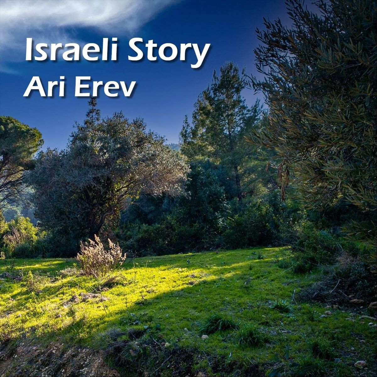 Album cover of Israeli Story