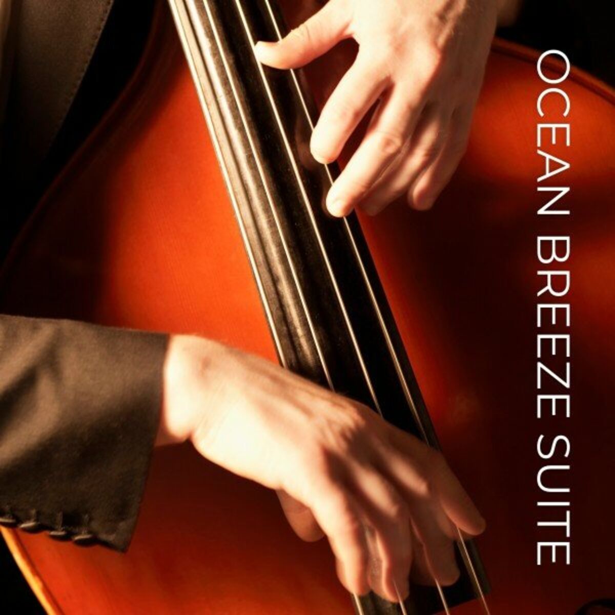 Album cover of Ocean Breeze Suite