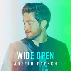 Cover of Wide Open
