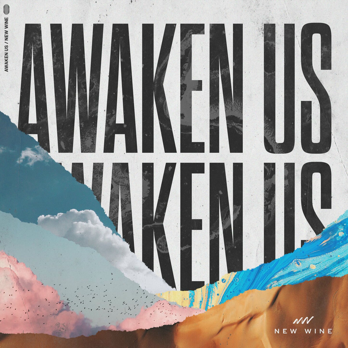 Album cover of Awaken Us