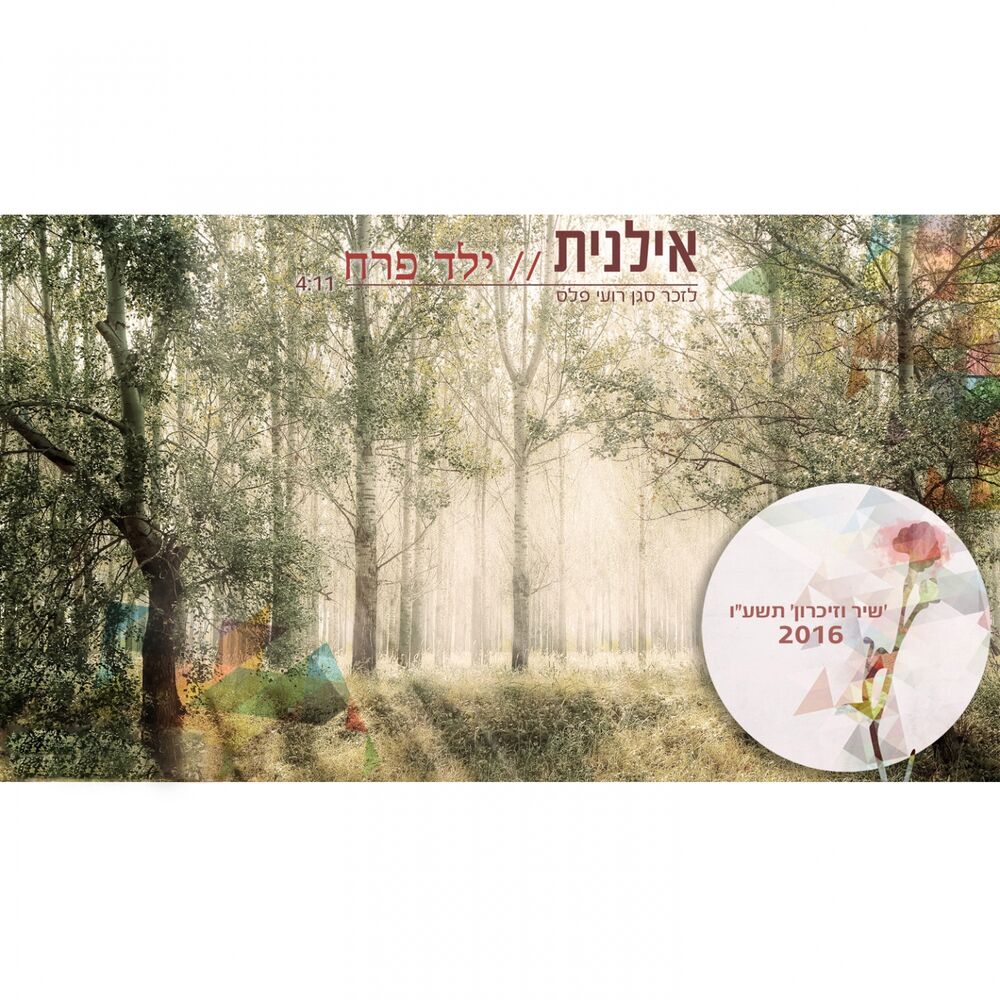 Picture of Yeled Perach