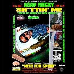 Cover of Sh*ttin' Me