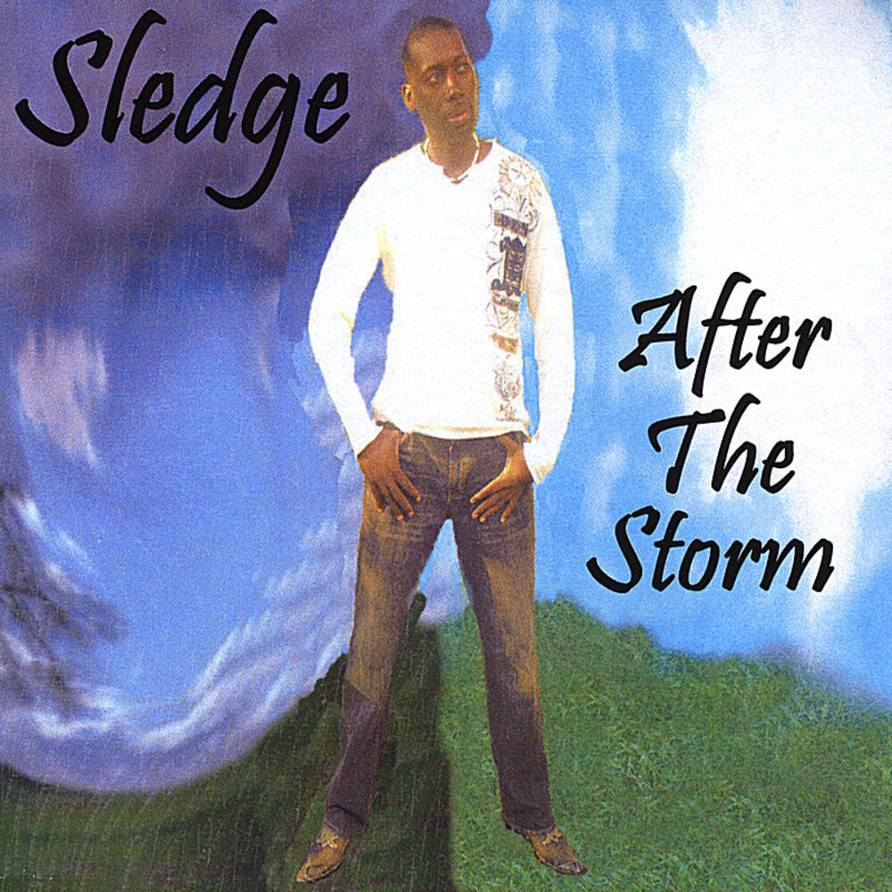Picture of After the Storm