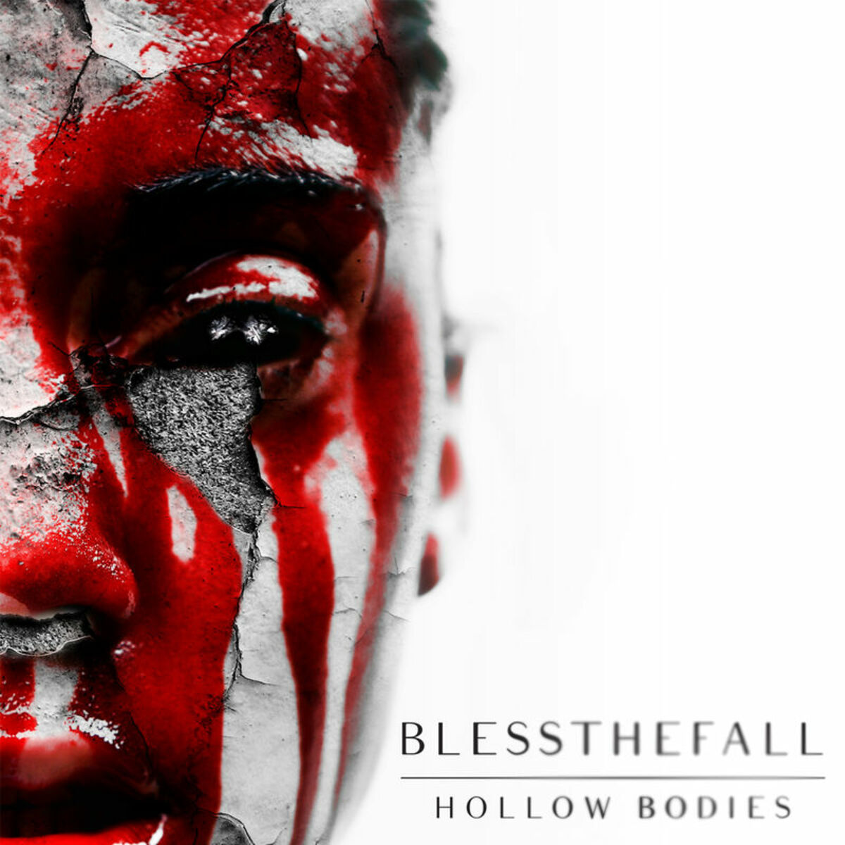 Album cover of Hollow Bodies