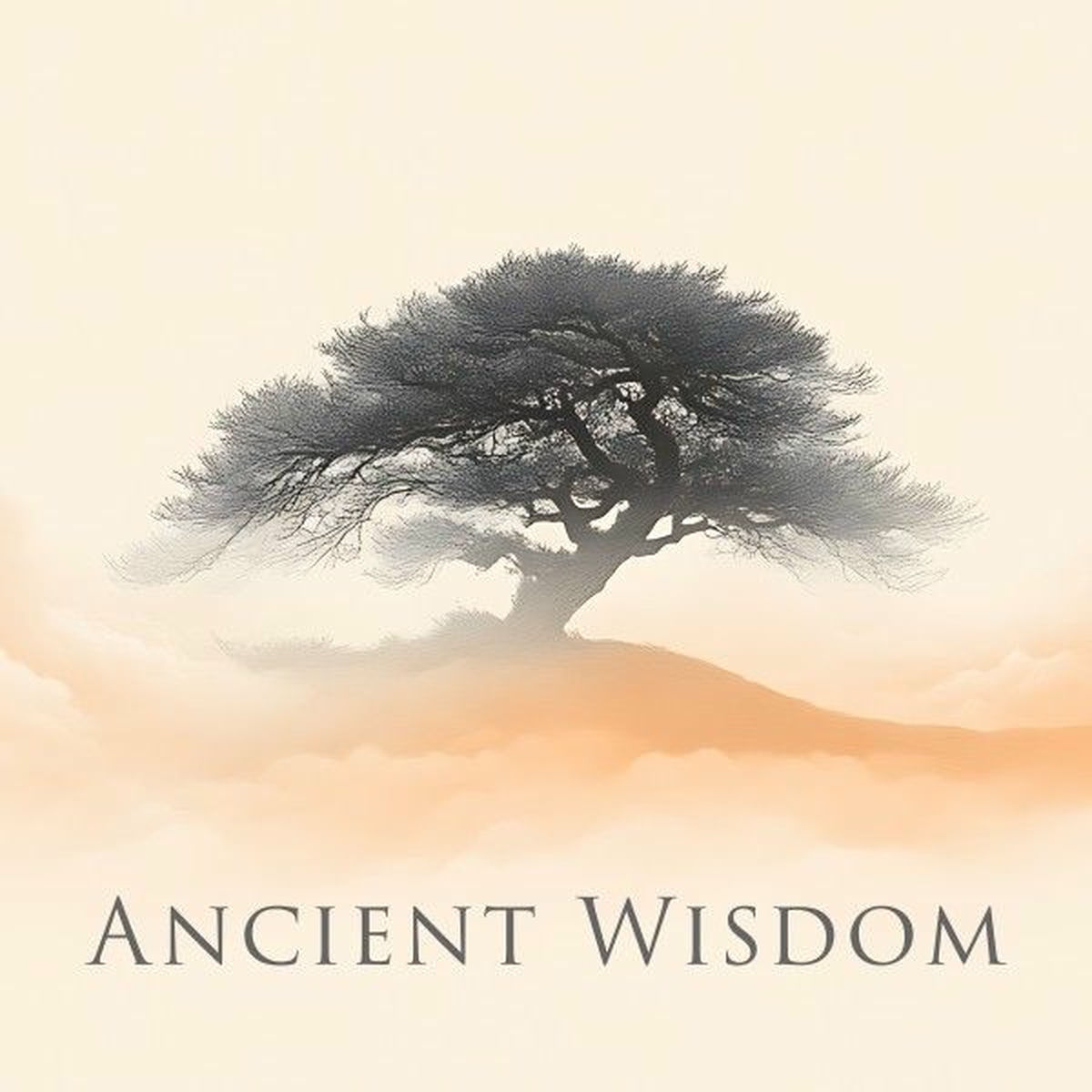 Album cover of Ancient Wisdom