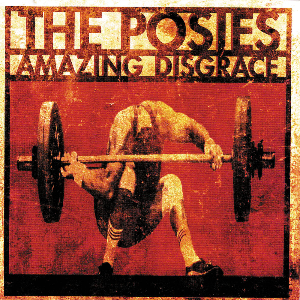 Picture of Amazing Disgrace