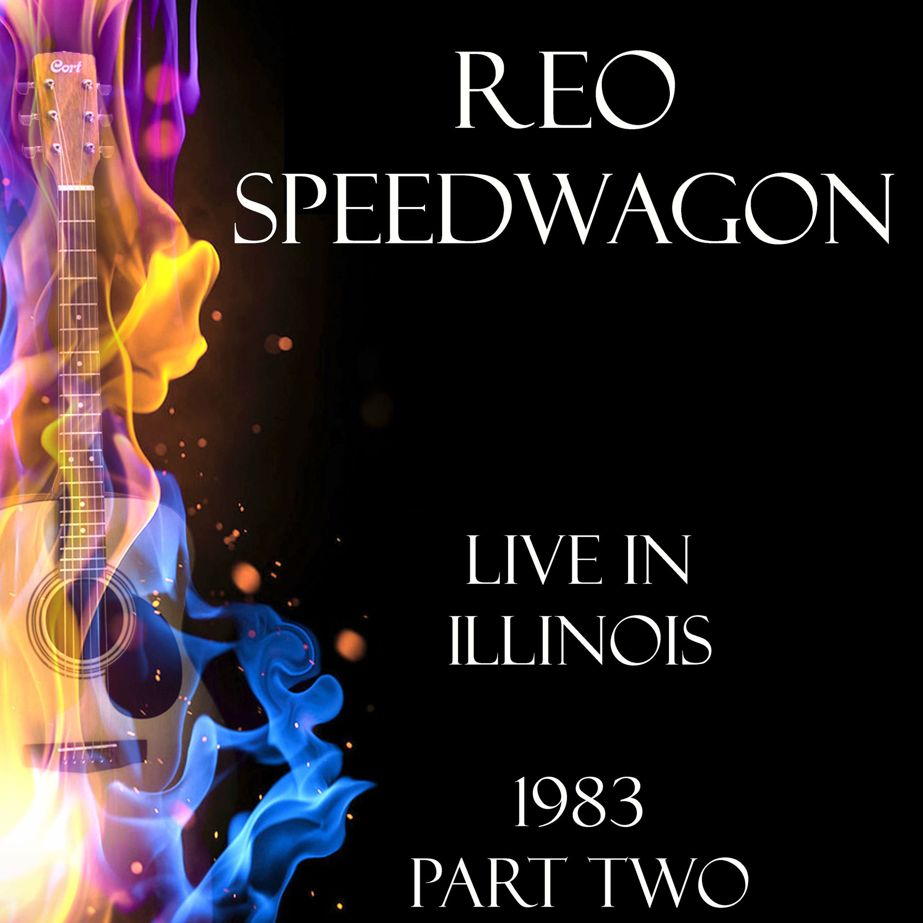 Album cover of Live in Illinois 1983 Part Two (Live)