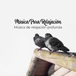 Cover of Música Pura Relajación