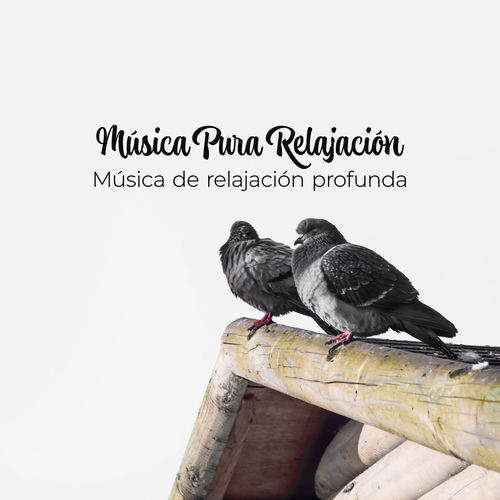 Música Pura Relajación