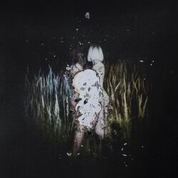 Cover of Face to Face With Fantasy