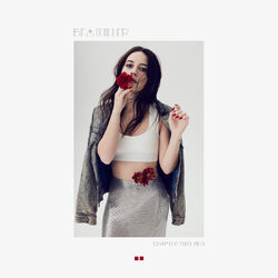 Cover of chapter two: red