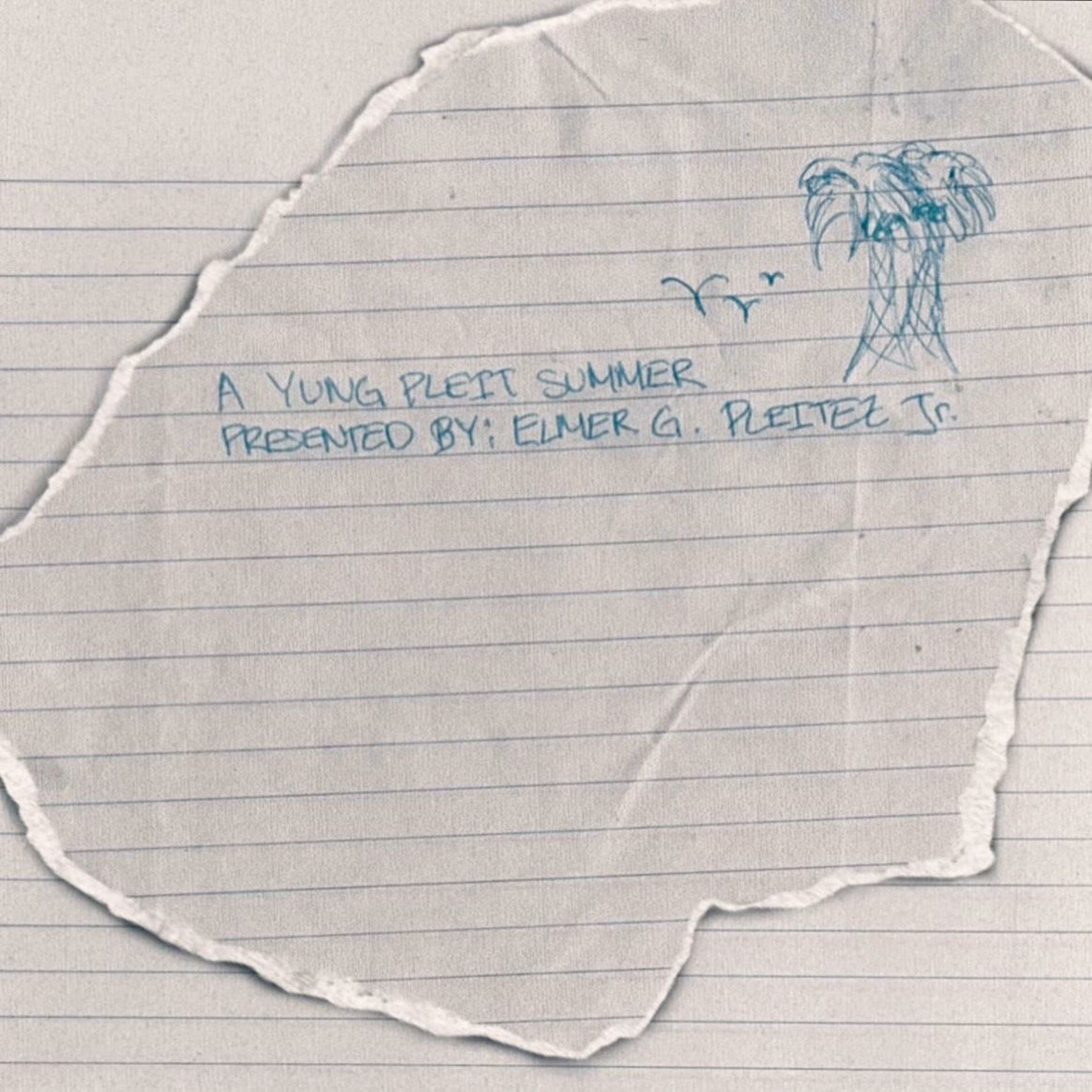 Album cover of A YUNG PLEIT SUMMER <3