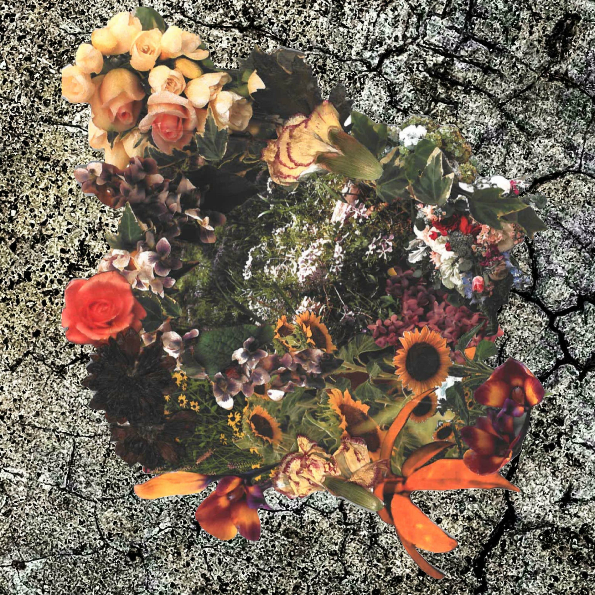 Album cover of Concrete Rose Theory