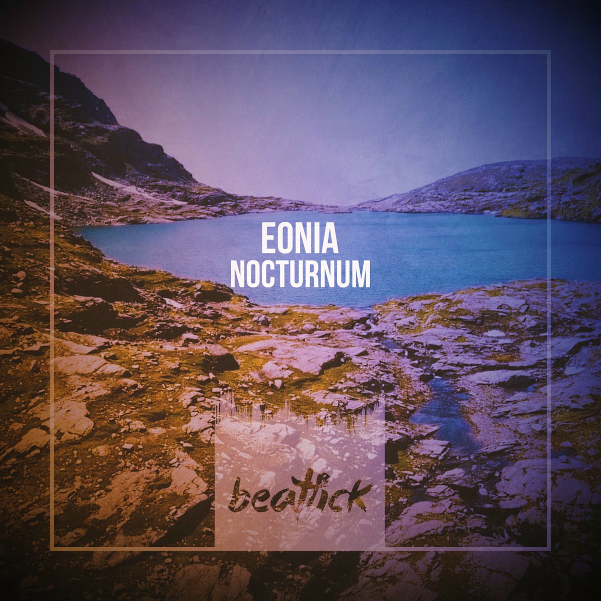 Album cover of Nocturnum