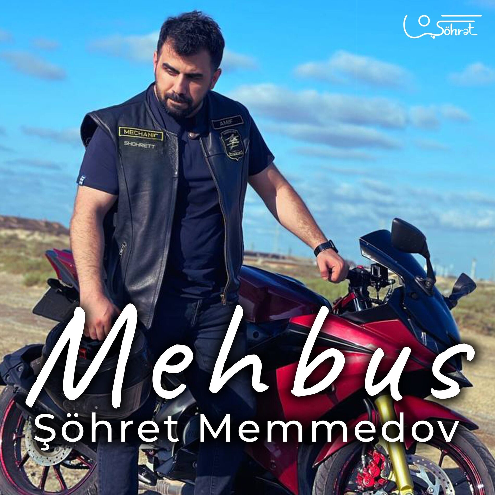 Album cover of Mehbus
