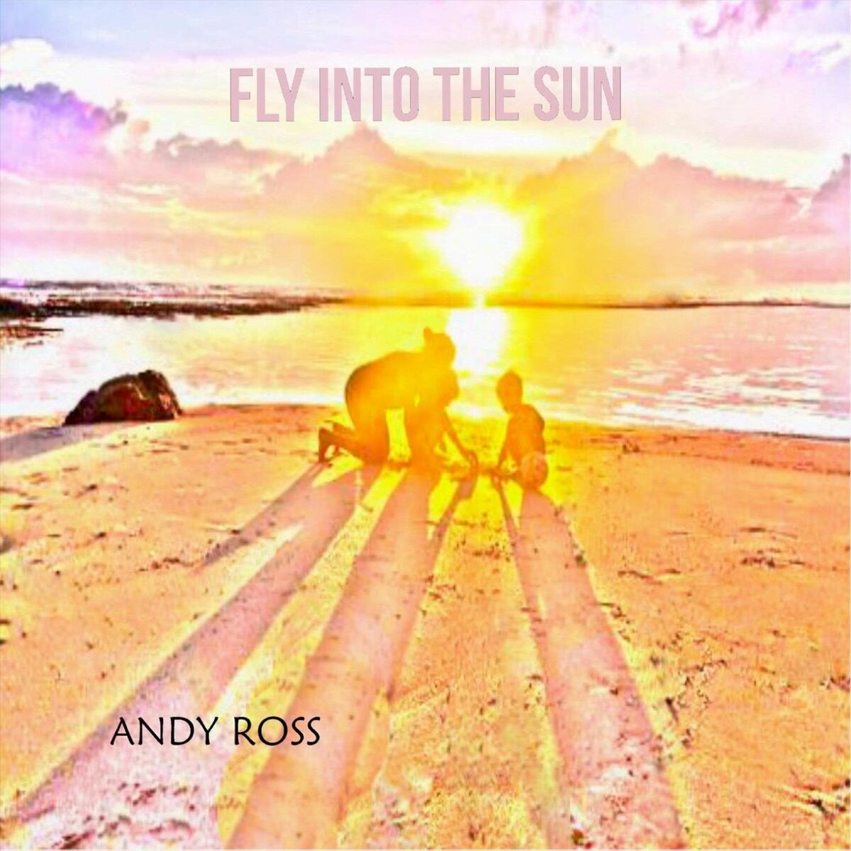 Album cover of Fly into the Sun