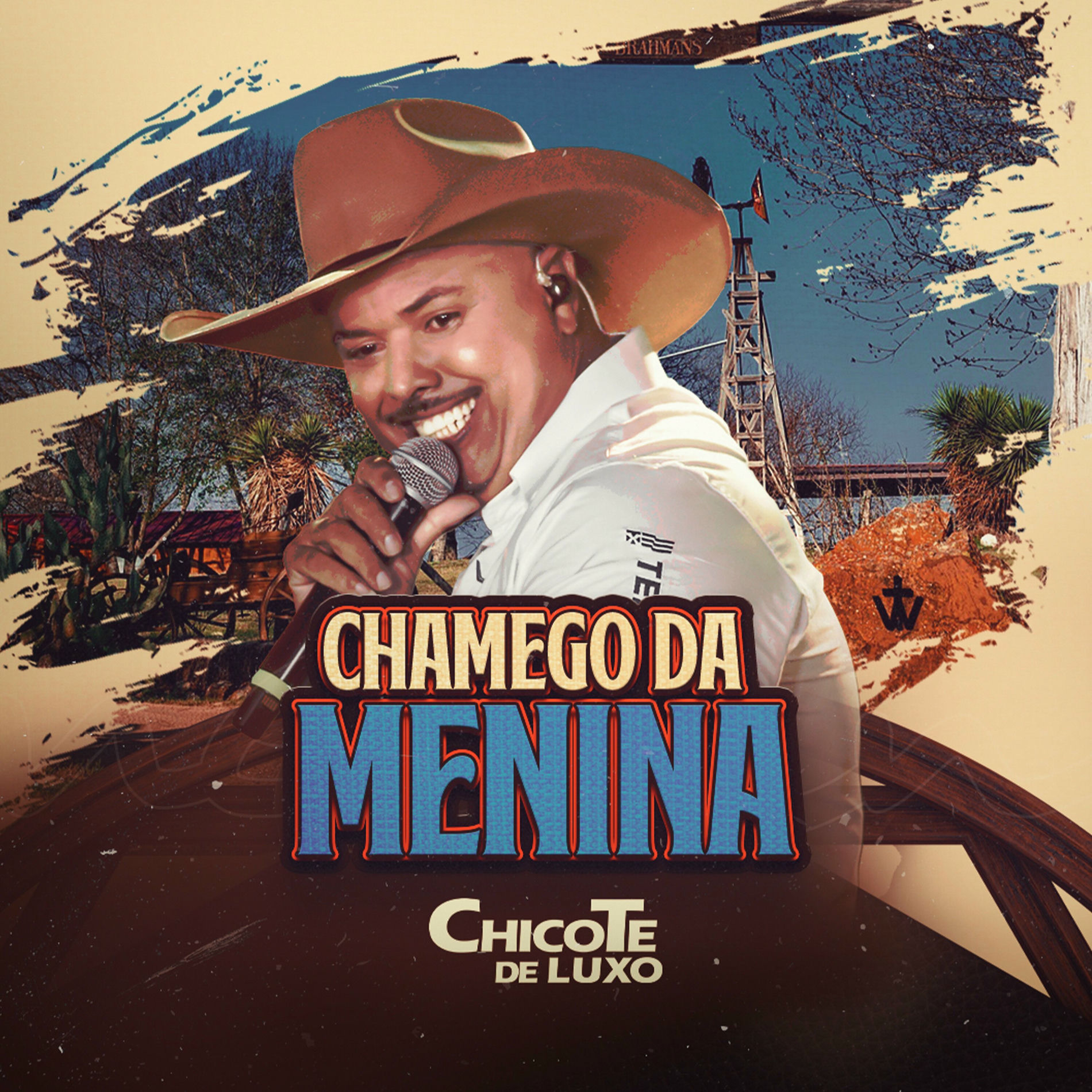 Album cover of Chamego da Menina