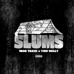 Cover of Slums