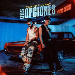 Cover of Dos Opciones