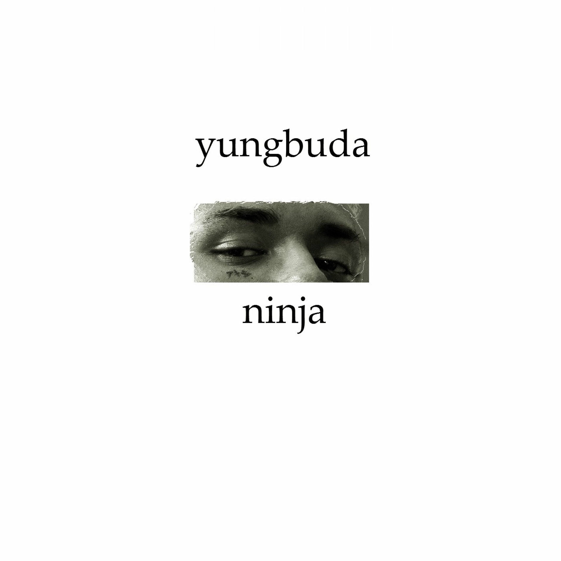 Album cover of Ninja