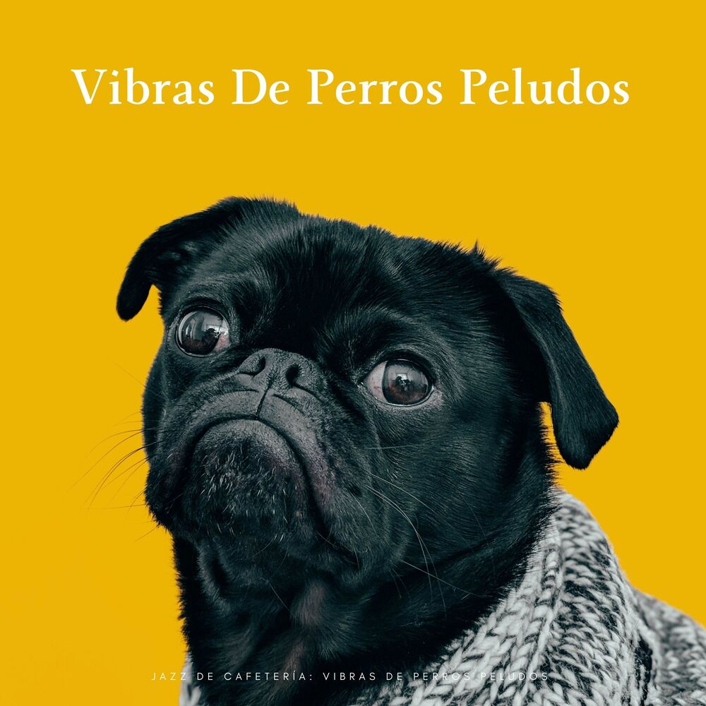 Picture of Jazz De Cafetería: Vibras De Perros Peludos