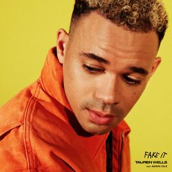 Cover of Fake It