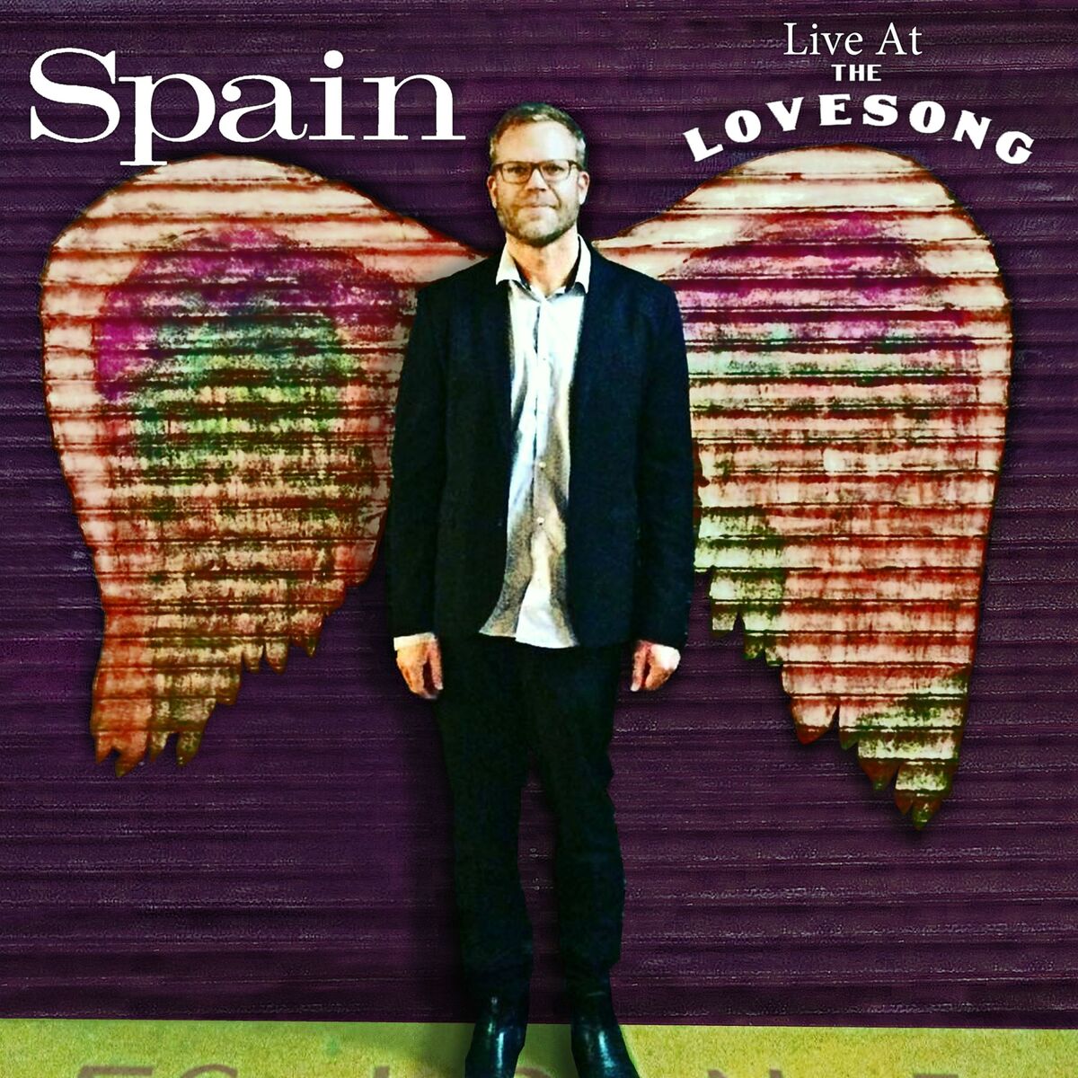 Album cover of Live at the Love Song