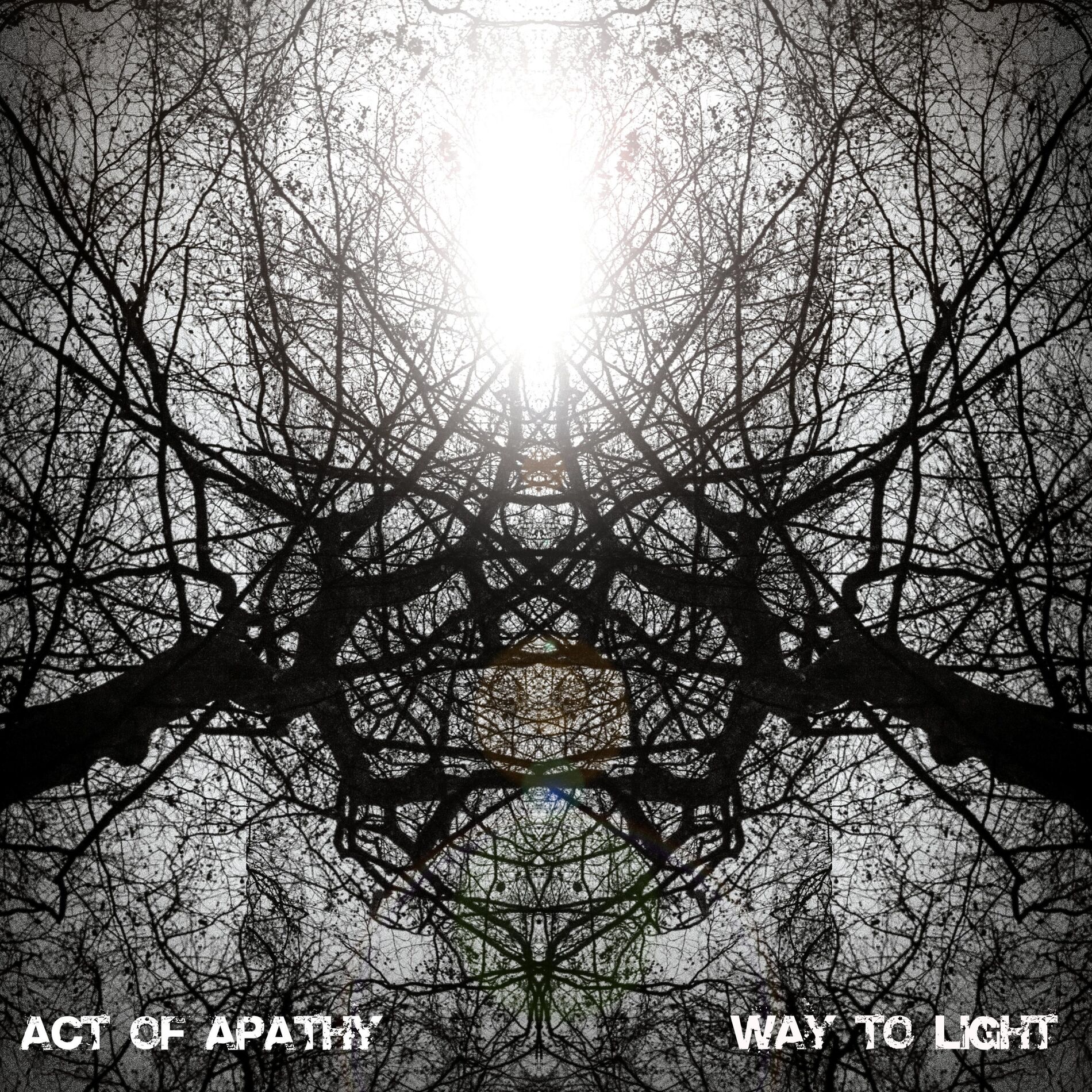 Album cover of Scars