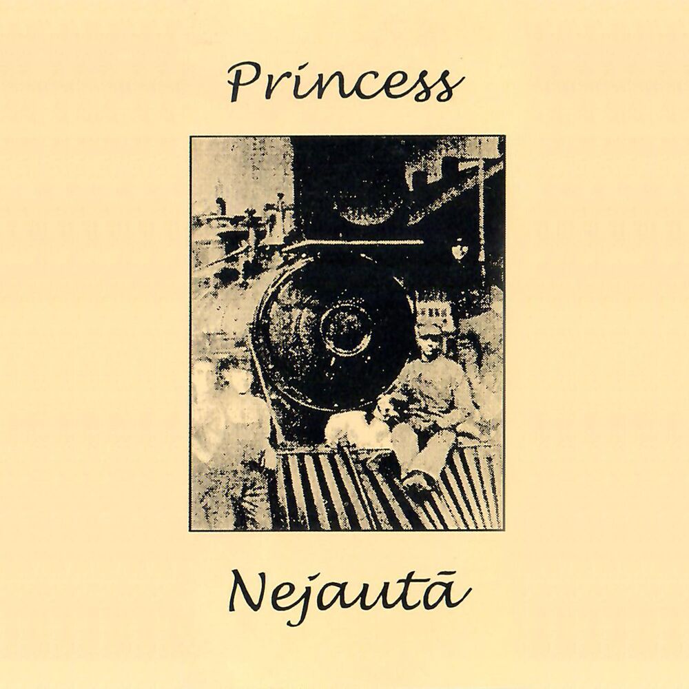 Picture of Nejautā