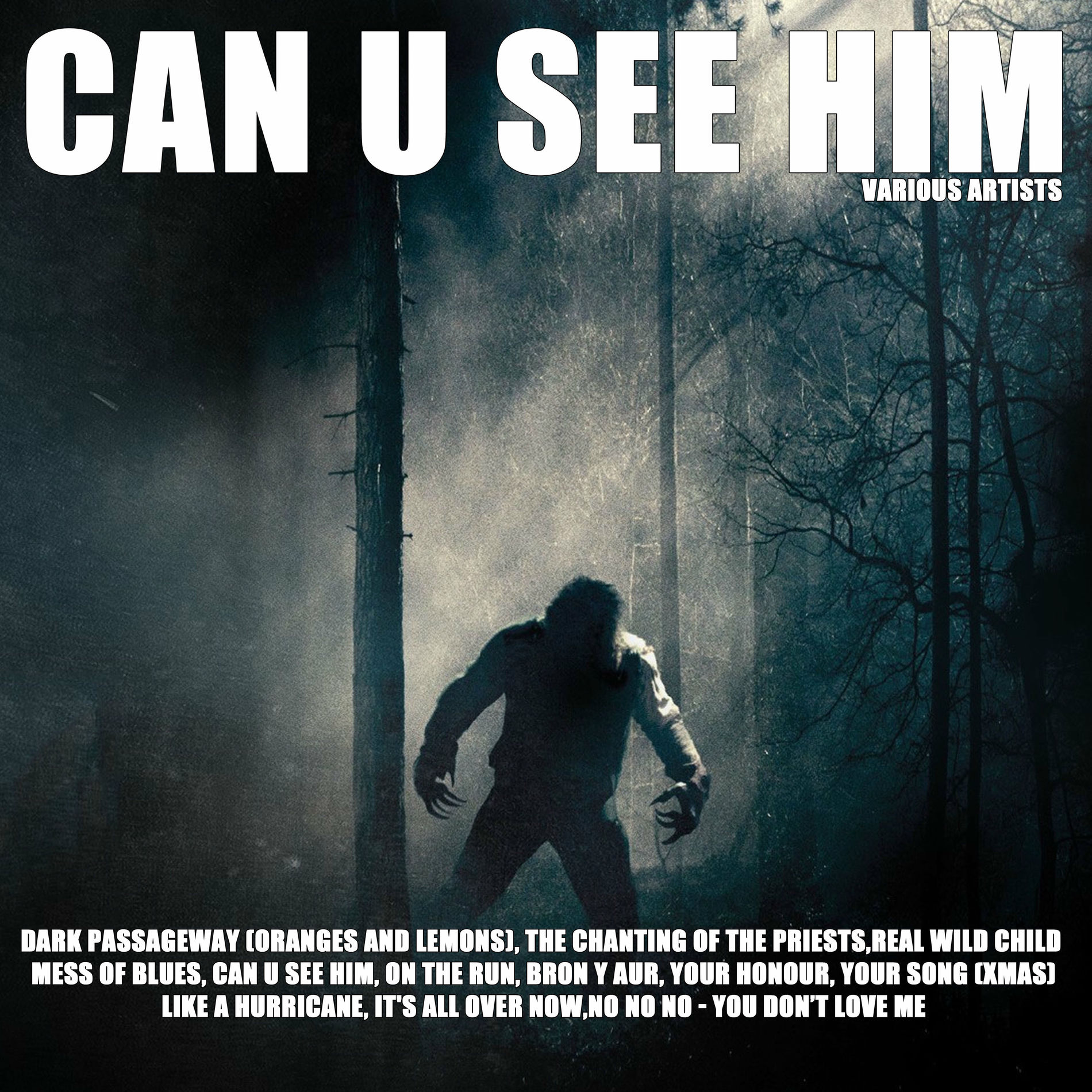 Album cover of Can U See Him