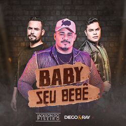 Cover of Baby Seu Bebê