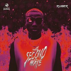 Cover of The Second Wave