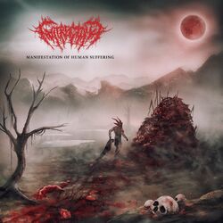 Cover of Manifestation of Human Suffering