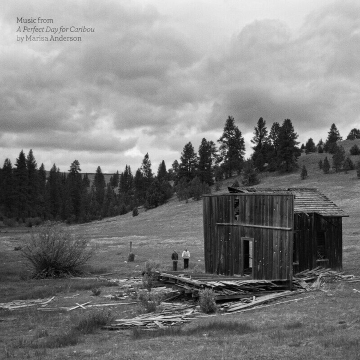 Album cover of Music From ‘A Perfect Day For Caribou’