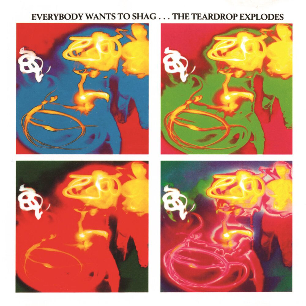 Picture of Everybody Wants To Shag... The Teardrop Explodes