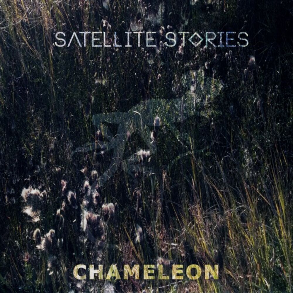 Picture of Chameleon