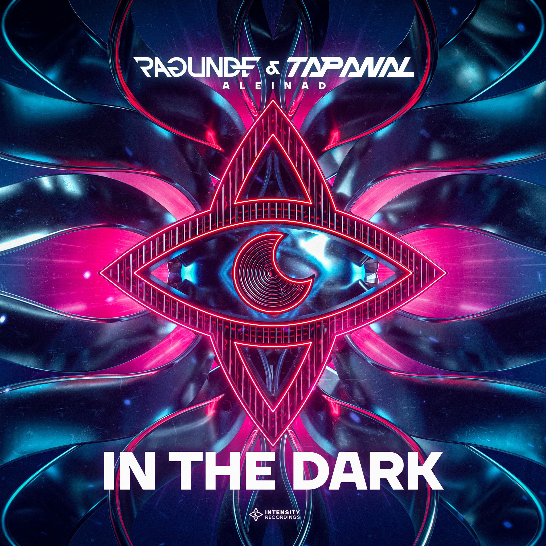 Album cover of In The Dark