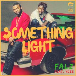 Cover of Something Light